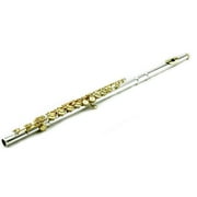 Sky C Flute with Lightweight Case, Cleaning Rod, Cloth, Joint Grease and Screw Driver - Silver/Gold Closed Hole