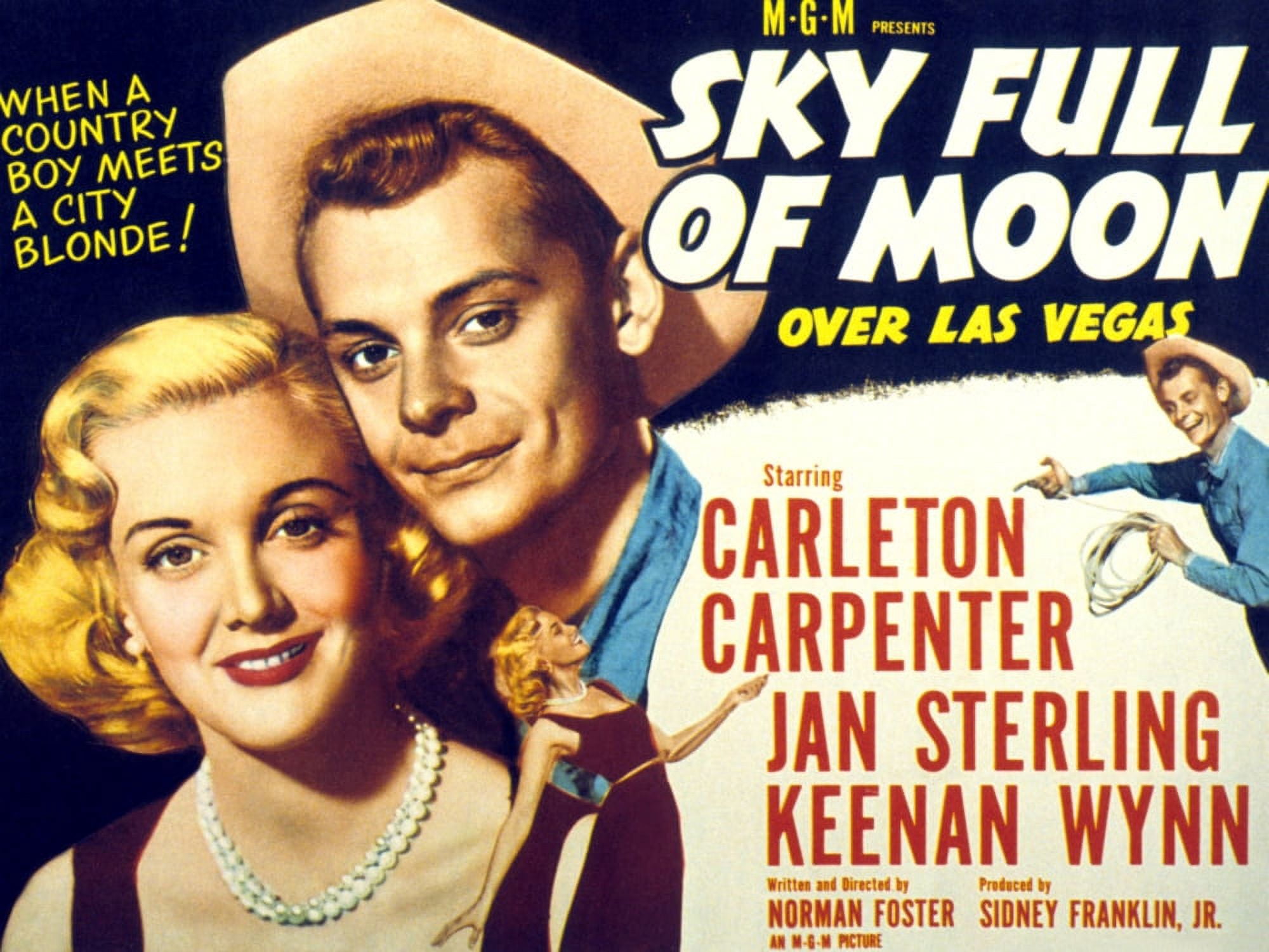 Sky Full Of Moon Canvas Art - (28 x 22)