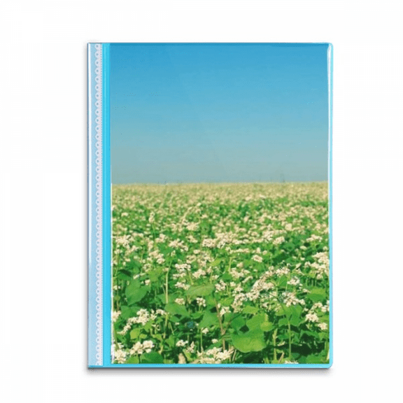 Sky Green Forestry Science Nature Scenery Book Sheet Protectors Portfolio Binder Folder