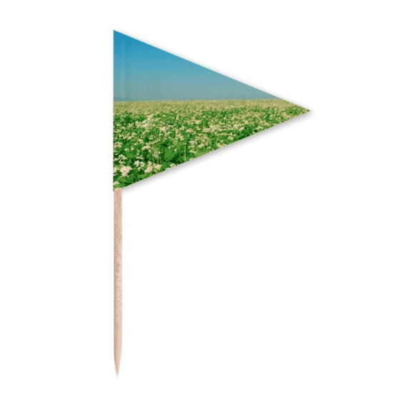 Sky Green Forestry Science Nature Scenery Toothpick Triangle Cupcake Toppers Flag