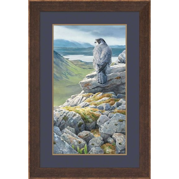 Sky King's CastlePeregrin Falcon