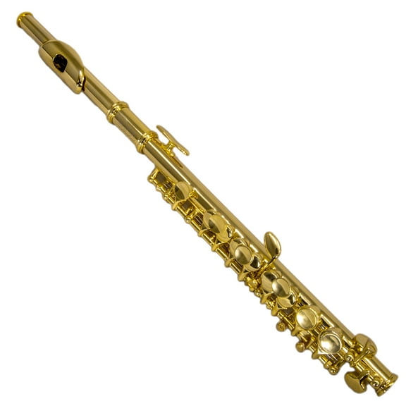 Sky(Paititi) Band Approved Gold Laquer with Gold Keys Piccolo Key of C with Hard Case, Cloth, Cleaning Rod, Joint Greasae and Screw Driver