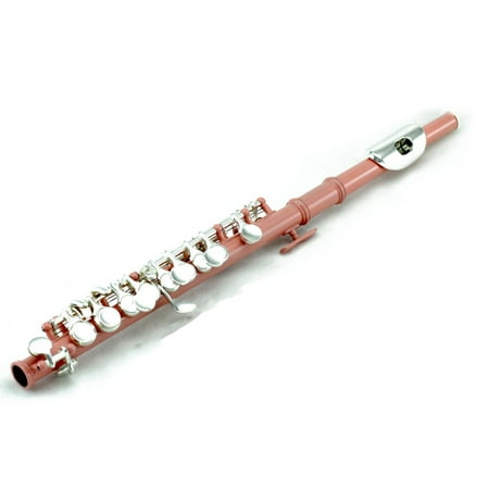 Sky(Paititi) Band Approved Piccolo Key of C with Hard Case, Cloth, Cleaning Rod, Joint Greasae and Screw Driver(Velvet Pink/Silver)
