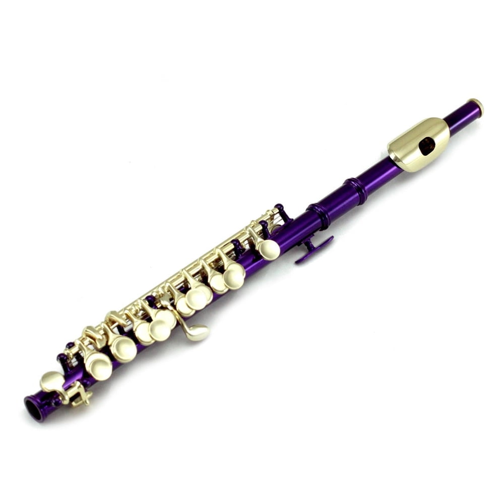 Sky(Paititi) Band Approved Purple Laquer with Gold KeysPiccolo Key of C with Hard Case, Cloth, Cleaning Rod, Joint Greasae and Screw Driver