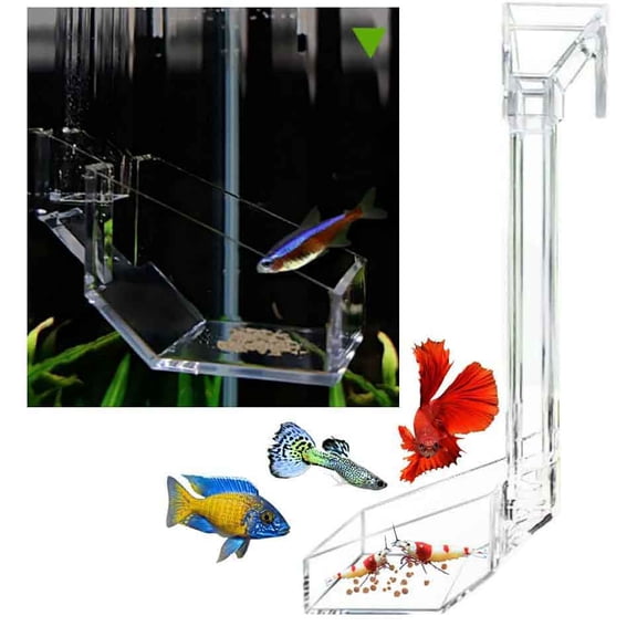 Sky Restaurant Aquarium Fish Feeder - Prevent Food Spilling, Easy to Clean, Betta & Dwarf Frogs Feeding