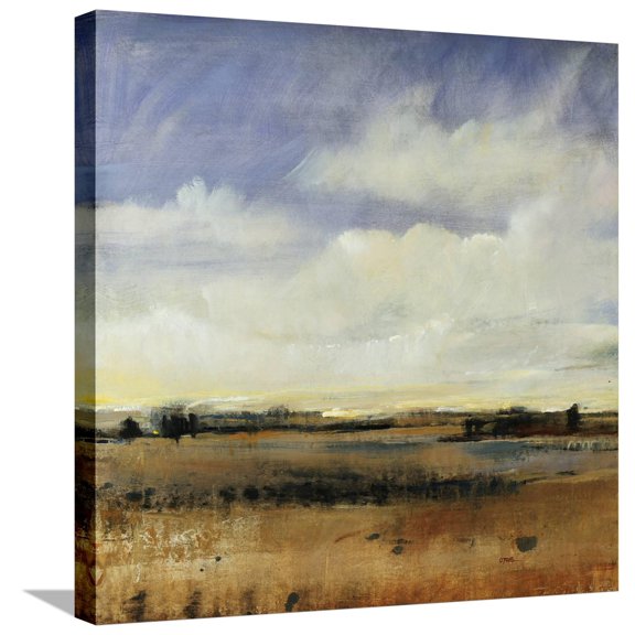 Art.com Sky View I Stretched Canvas Print Wall Art by Tim O'toole, 24" x 24"