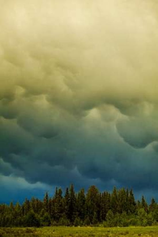 Sky Warning Canvas Art - Roberta Murray (12 x 18)