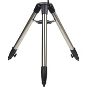Sky-Watcher EQ6 Wave Steel Tripod, Silver