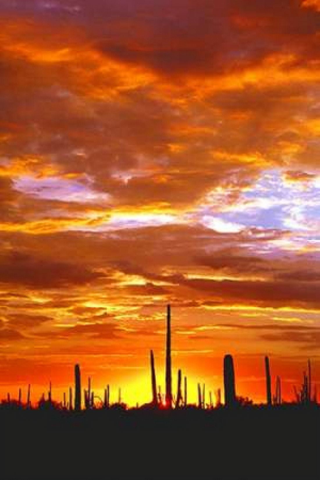 Sky a Fire I Canvas Art - Douglas Taylor (12 x 18)