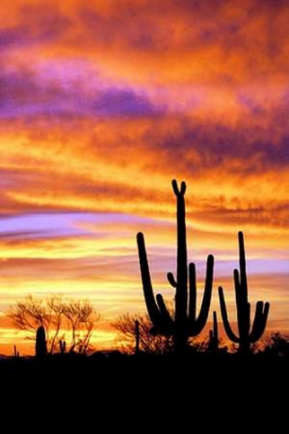 Sky a Fire II Canvas Art - Douglas Taylor (24 x 36)
