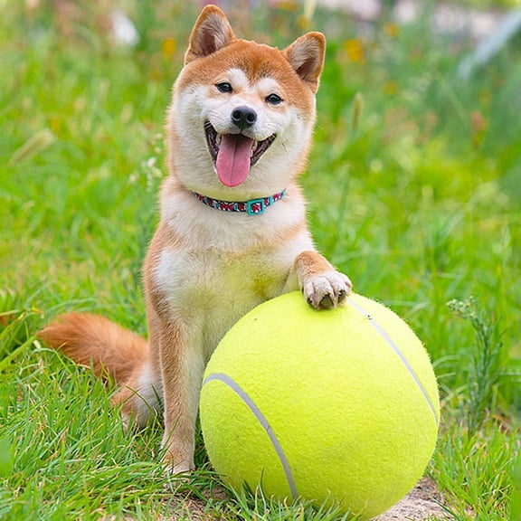 SkyAuks Big Tennis Ball for Dogs, Giant Dog Tennis Ball Toy Large Outdoor Sports Gift for Small Medium Large Dog 9.5 inch