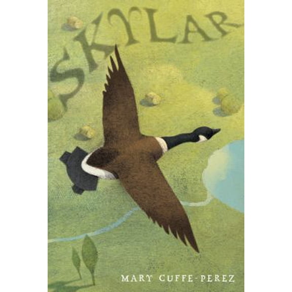 Pre-Owned Skylar (Hardcover) 039924543X 9780399245435