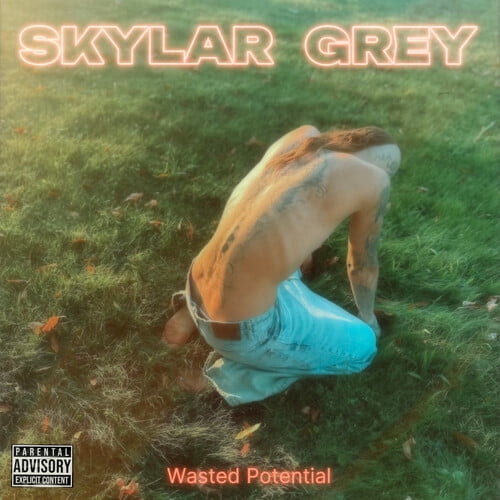 Skylar Grey - Wasted Potential - Music & Performance - CD