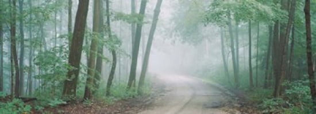 Skyline Drive Jackson-Washington State Forest Indiana Canvas Art - Panoramic Images (34 x 12)
