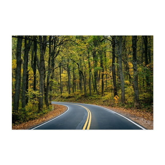 Skyline Drive, Shenandoah National Park 02 - Virginia Photography Forest Autumn Nature Woodland Scenic Woods Landscape Unframed Wall Art Print 24 x 36 inches