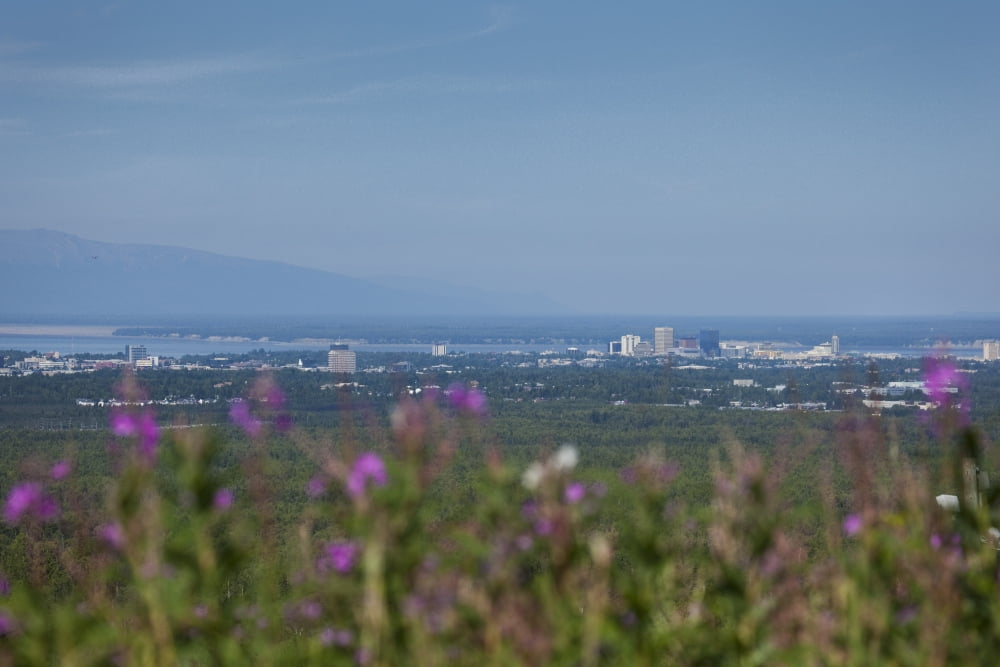 Skyline View Of Anchorage Alaska Southcentral Summer Canvas Art - John Delapp Design Pics (34 x 22)