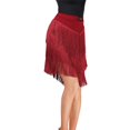thumbnail image 1 of Skymirror Latin Dance Tassel Skirt Elegant High Waist Solid Color Mini Skirt Dance Training Performance Clothes, 1 of 8