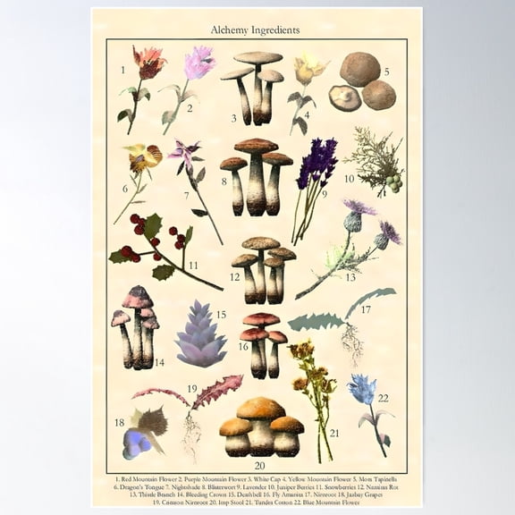 Skyrim Botanical Poster Poster Wall Art, Modern Wall Decor For Living Room Bedroom, 12x18 UNFRAMED