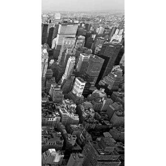 Skyscrapers in Manhattan III Poster Print by Vadim Ratsenskiy (10 x 20)