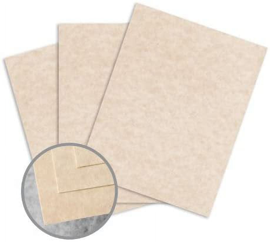 Skytone Brown Card Stock - 8 1/2 x 11 in 65 lb Cover Vellum 30% Recycled 250 per Package
