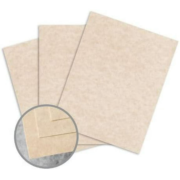 Skytone Brown Card Stock - 8 1/2 x 11 in 65 lb Cover Vellum 30% Recycled 250 per Package
