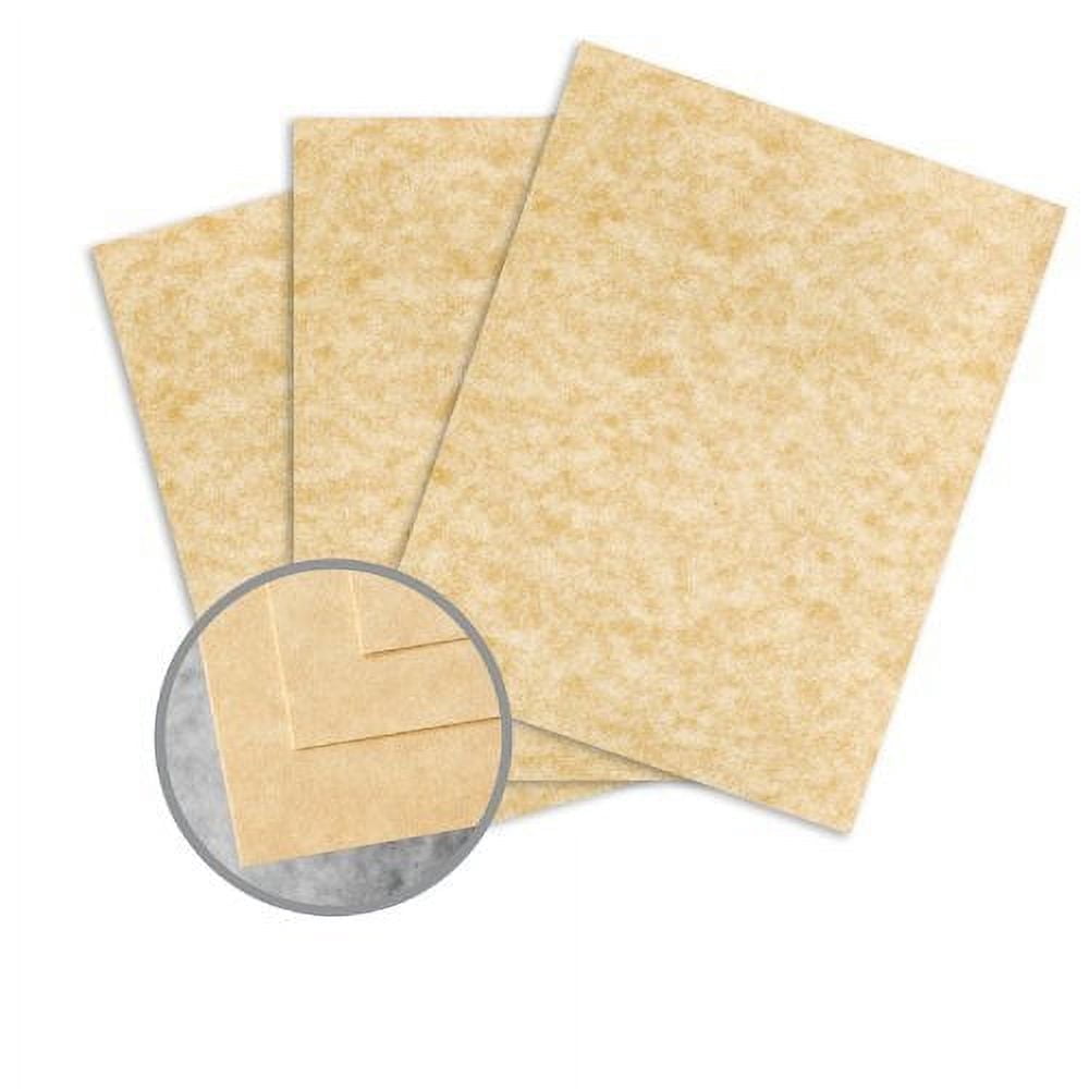 Skytone Champagne Card Stock - 8 1/2 x 11 in 65 lb Cover Vellum 30% Recycled 250 per Package