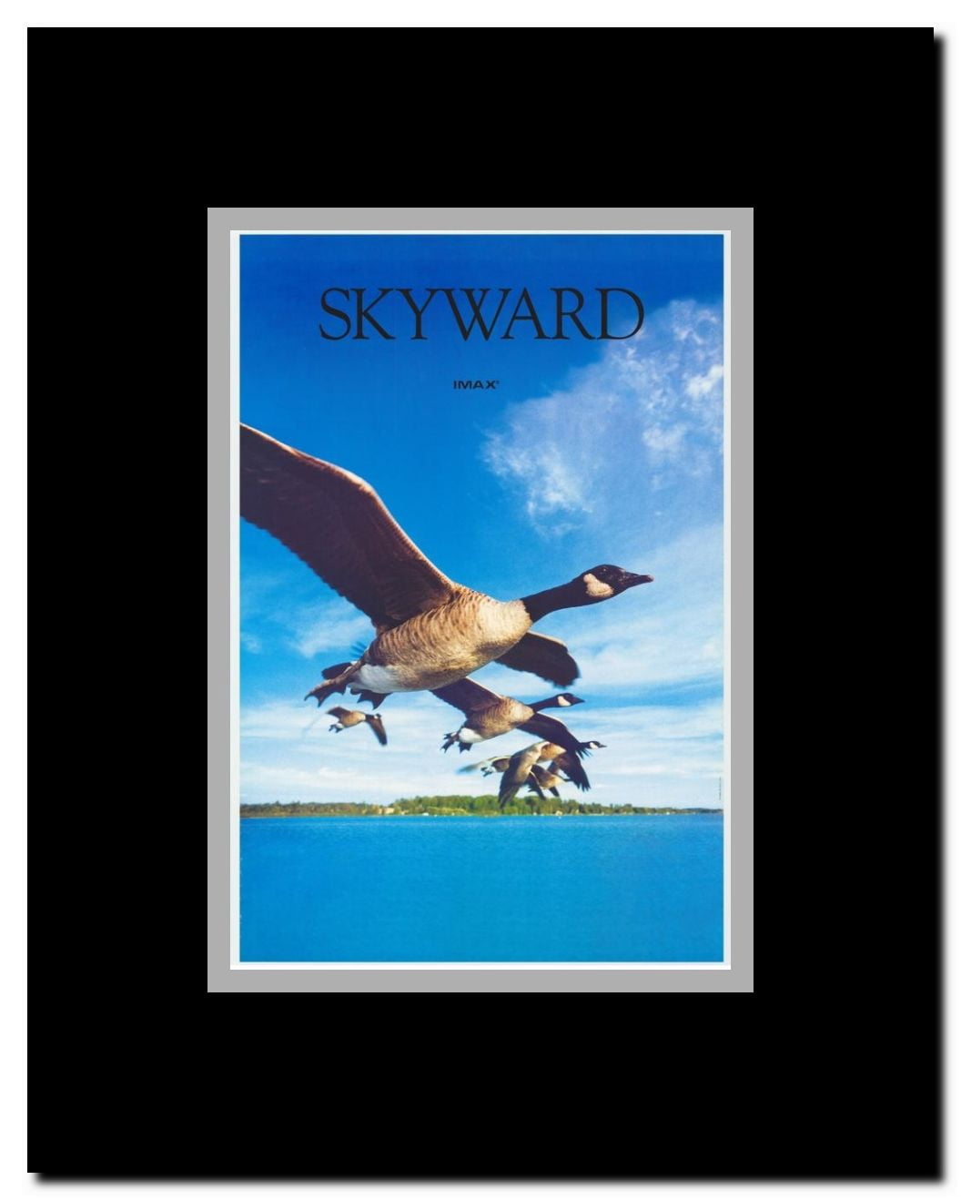 Skyward (IMAX) Framed Movie Poster