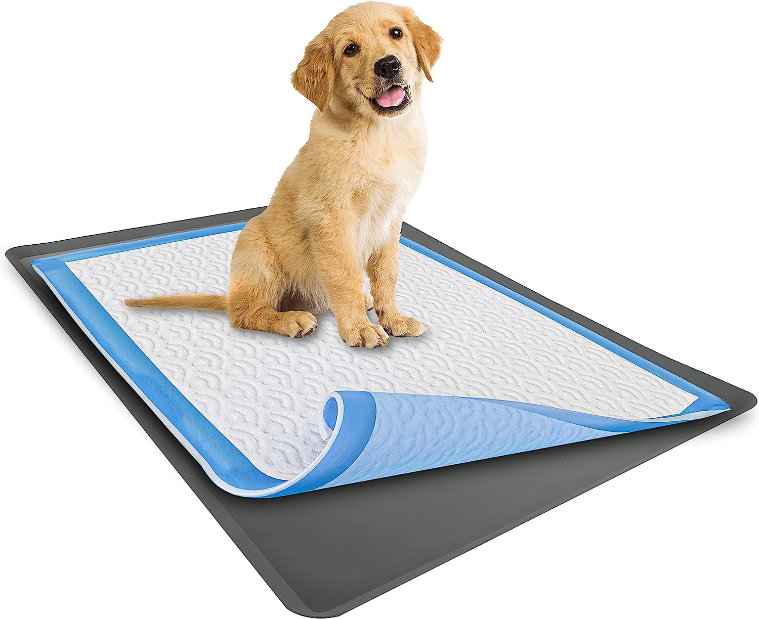Skywin Dog Pad Holder Tray 28x30 in ( 1 Pack ) No Spill Pee Pad