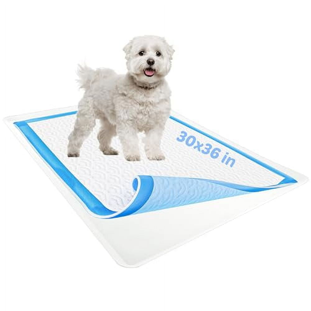 Skywin Dog Puppy Pad Holder Tray for 24 x 24 Inches Training Pads -  Silicone Wee Wee Pad Holder, No Spill Pee Pad Holder for Dogs, Easy to  Clean and