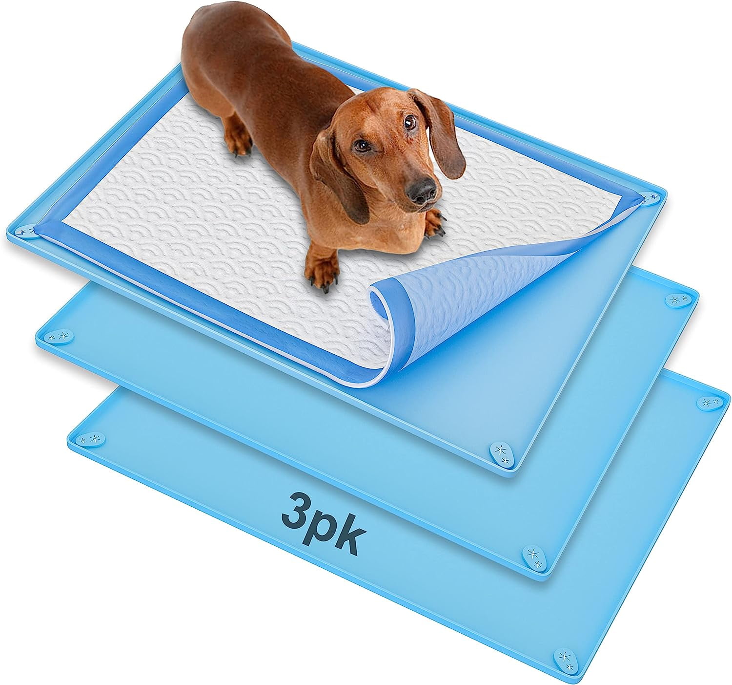 Skywin Pee Pad Holder - No Spill and Leaks Silicone Puppy Pad Holder ...