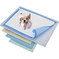 thumbnail image 1 of Skywin Pee Pad Holder - No Spill and Leaks Silicone Puppy Pad Holder, Secure 30 x 23 Inches Pee Pad, Grey, 1 of 6