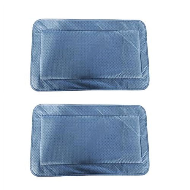 Skywin Pet Carrier Insert Pad 2 Pack 19.5" x 12.5" Puppy Pads for