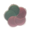 thumbnail image 1 of Skywin Snack Tray - Flower Shaped Fun & Functional Snack Containers - Travel-Friendly, Easy to Use & Clean Snack Box, Encourages Healthy Eating (Red/Green), 1 of 7