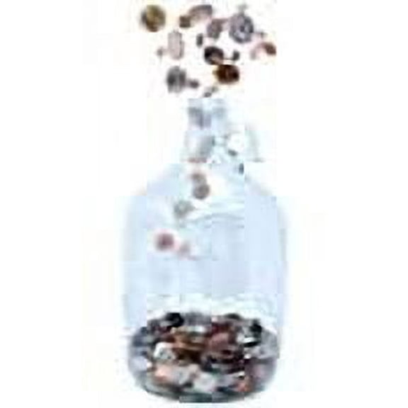Skywin Swear Jar - Large Glass Money Jar and Adult Piggy Bank for Storing Coin & Change