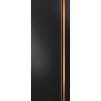 Slab Barn Door Panel 18 x 80 inches | Planum 1010 Matte Black with Frosted Glass | Sturdy Finished Interior Doors | Pocket Closet Sliding