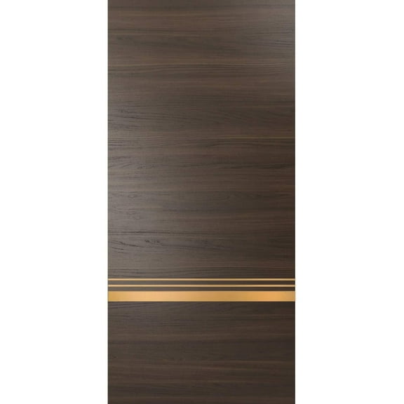 Slab Barn Door Panel 18 x 80 inches | Planum 2010 Chocolate Ash with Frosted Glass | Sturdy Finished Interior Doors | Pocket Closet Sliding