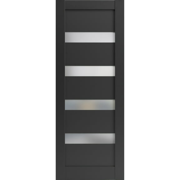 Slab Barn Door Panel 24 x 80 inches | Quadro 4113 Matte Black Frosted Glass | Sturdy Finished Interior Doors | Pocket Closet Sliding