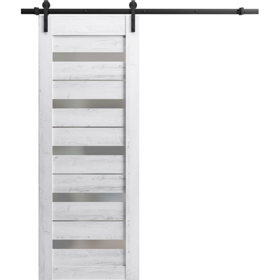 Slab Barn Door Panel 24 x 84 inches | Lucia 2166 Matte Black Clear Glass | Sturdy Finished Interior Doors | Pocket Closet Sliding