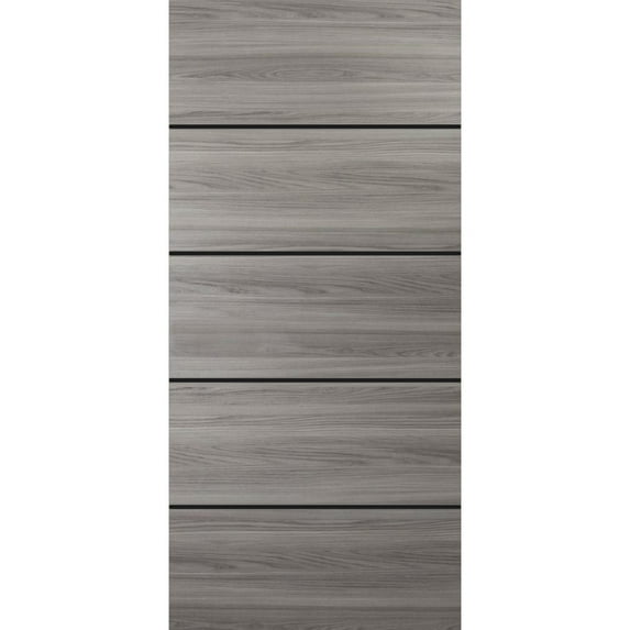 Slab Barn Door Panel 24 x 96 inches | Planum 0015 Ginger Ash with Frosted Glass | Sturdy Finished Interior Doors | Pocket Closet Sliding