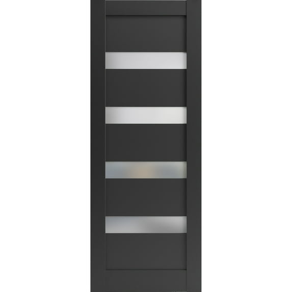 Slab Barn Door Panel 30 x 96 inches | Quadro 4113 Matte Black Frosted Glass | Sturdy Finished Interior Doors | Pocket Closet Sliding