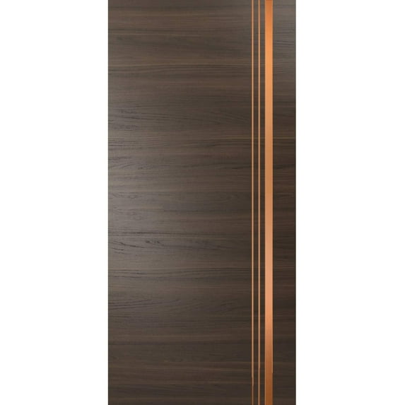 Slab Barn Door Panel 32 x 80 inches | Planum 1010 Chocolate Ash with Frosted Glass | Sturdy Finished Interior Doors | Pocket Closet Sliding
