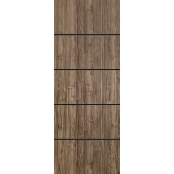 Slab Barn Door Panel 42 x 80 inches | Planum 0015 Walnut with Frosted Glass | Sturdy Finished Interior Doors | Pocket Closet Sliding