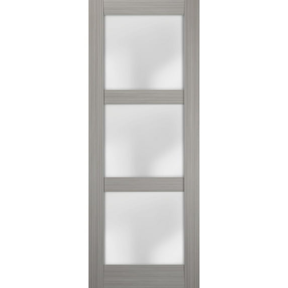 Slab Barn Door Panel Frosted Glass 24 x 80 inches | Lucia 2552 Grey Ash | Sturdy Finished Doors | Pocket Closet Sliding