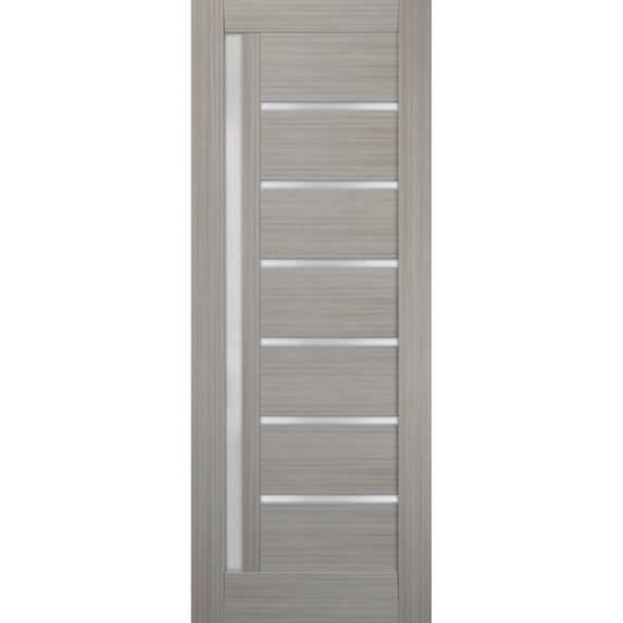 Slab Barn Door Panel Frosted Glass 24 x 80 inches | Quadro 4088 Grey Ash | Sturdy Finished Doors | Pocket Closet Sliding