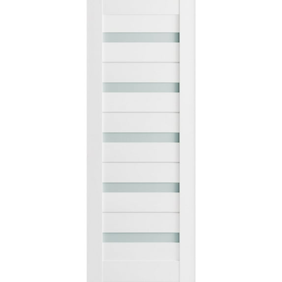 Slab Barn Door Panel Frosted Glass 24 x 84 inches | Quadro 4445 White Silk | Sturdy Finished Doors | Pocket Closet Sliding