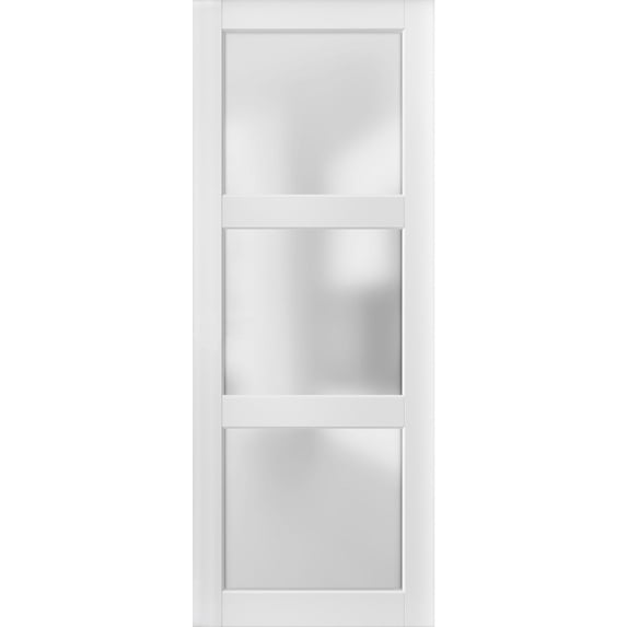 Slab Barn Door Panel Frosted Glass 3 Lites 24 x 80 inches