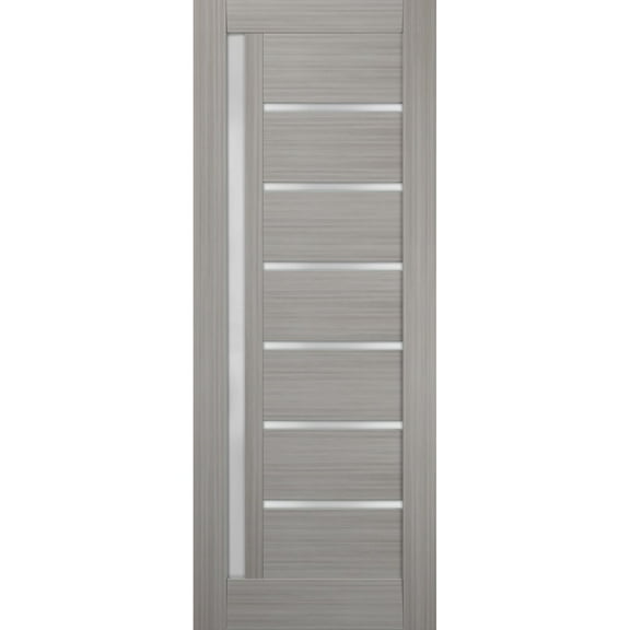 Slab Barn Door Panel Frosted Glass 30 x 80 inches | Quadro 4088 Grey Ash | Sturdy Finished Doors | Pocket Closet Sliding