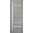 thumbnail image 1 of Slab Barn Door Panel Frosted Glass 32 x 96 inches | Quadro 4088 Grey Ash | Sturdy Finished Doors | Pocket Closet Sliding, 1 of 6