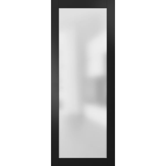 Slab Barn Door Panel Frosted Glass Lite 28 x 80 inches
