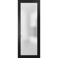 thumbnail image 1 of Slab Barn Door Panel Frosted Glass Lite 30 x 84 inches, 1 of 6